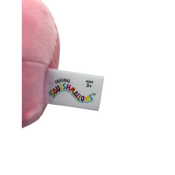 LONINA the Frog 4.5" Squishmallow Valentines Pink Metallic Heart Hands 2023 NWT - Picture 9 of 9